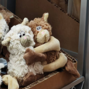 4.当计划崩盘时，生活才开始上菜