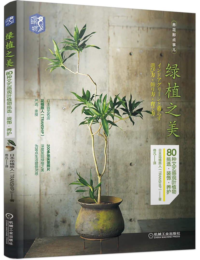 绿植之美：80种文艺感观叶植物挑选、装饰、养护