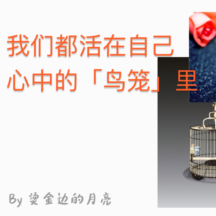 我不想再被绑架啦 episode artwork