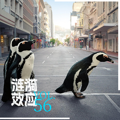 cover of episode Vol.56对话生态学者：如果地球重启，人类会被“格式化”吗？
