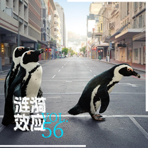Vol.56对话生态学者：如果地球重启，人类会被“格式化”吗？