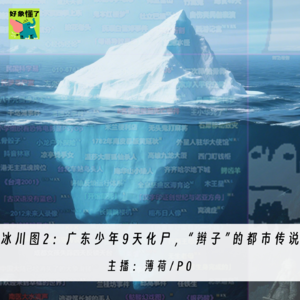 013.贴吧“冰川图”2：广东少年9天化尸案，“辫子”的都市传说，满洲舞台大火惨痛事故