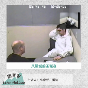 EP10 凤凰城的圣诞夜 | 美国希瑟&瑞恩案