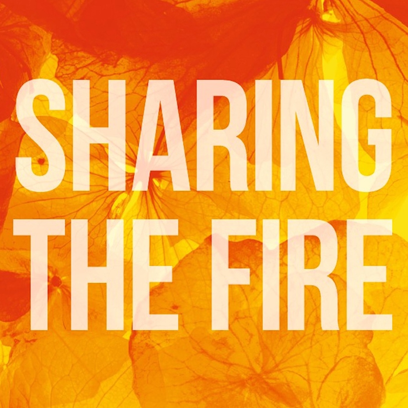分享火焰 Share the Fire