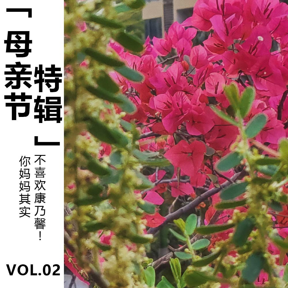 cover of episode Vol.02 【母亲节特辑】其实你妈妈不喜欢康乃馨！