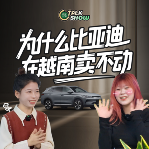 全球销量王比亚迪，为什么在越南卖不动？