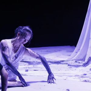 26.S2E6 认真研究跳舞的博士：身体从不遗忘