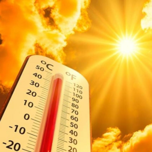 Vol.8 极值之下:世界越来越热,我们如何降降温 |“自由绿洲”热点观察