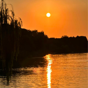 第88期：抛开一切不谈，你梦想的工作是什么？