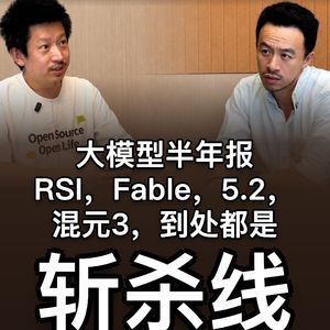 43. 大模型半年报：RSI，Fable，5.2，混元3，龙猫，到处都是斩杀线 - 王铁震