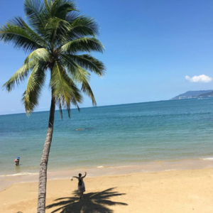 玄学会客厅118｜氨基酸塔罗占卜实践经验分享（牛蛙事件的另一种解读）