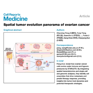 831-Spatial Tumor Evolution Panorama of Ovarian Cancer