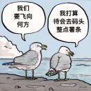 冒险家关伯兰