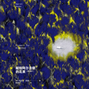 《献给阿尔吉侬的花束》下丨一个人的优秀对别人来说是带有攻击性的
