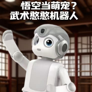 第573集 悟空当萌宠 武术憨憨机器人