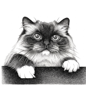 Vol.080 于欣烈对谈理想座舱产品经理｜李想点名要做「艺术相框」，火的却是一只AI小猫