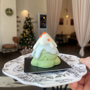 27 - 来听独居生病的经验教训！又大了一岁，那就祝大家身体健康吧！