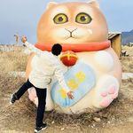傅里叶的顽强
