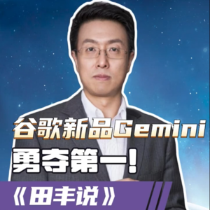 第164集 谷歌大模型Gemini勇夺第一！