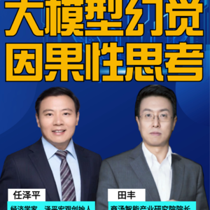 第285集 大模型幻觉，因果性思考