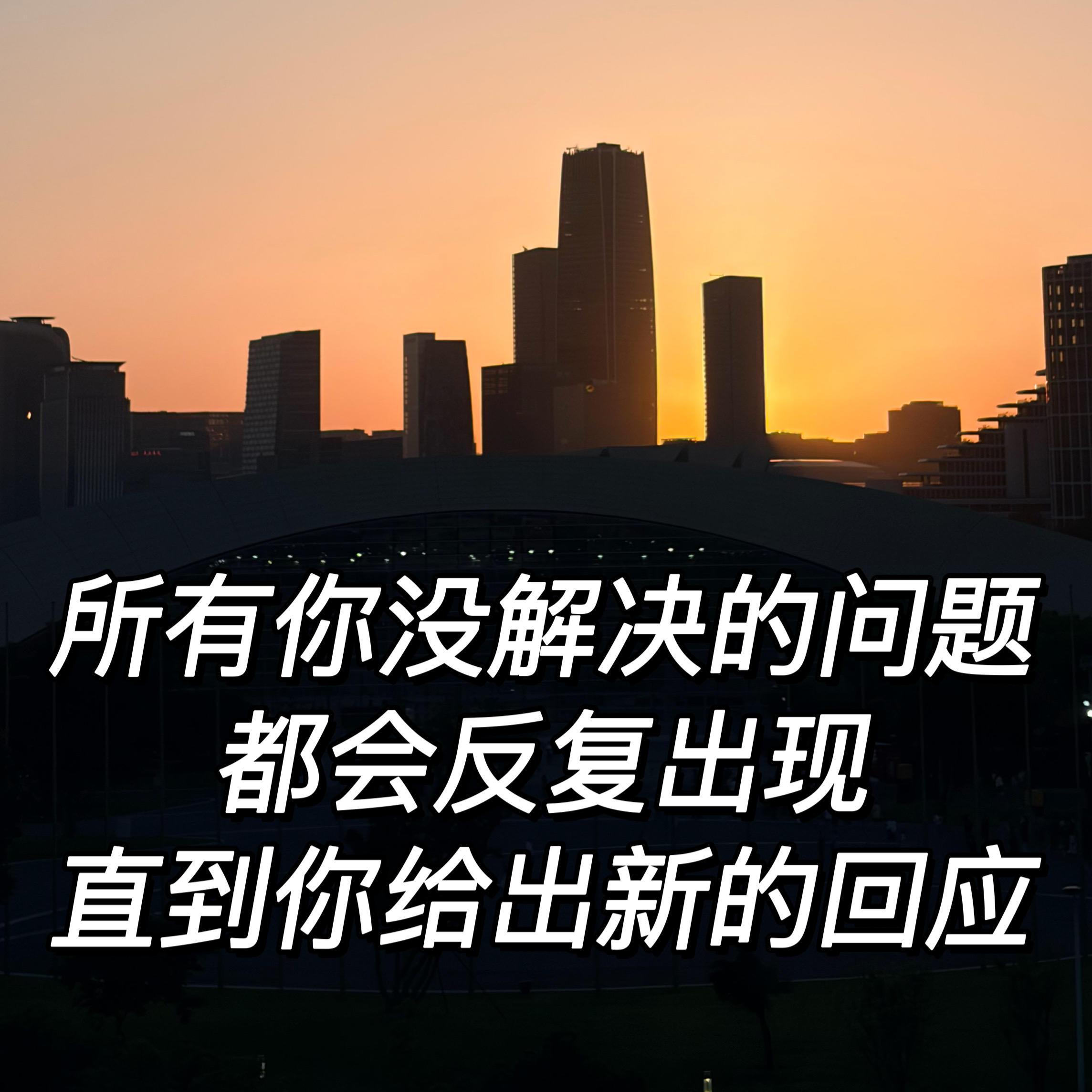 毕业杀进宝洁阿里，创业赔500万：金钱、安全感与女性自由 episode artwork