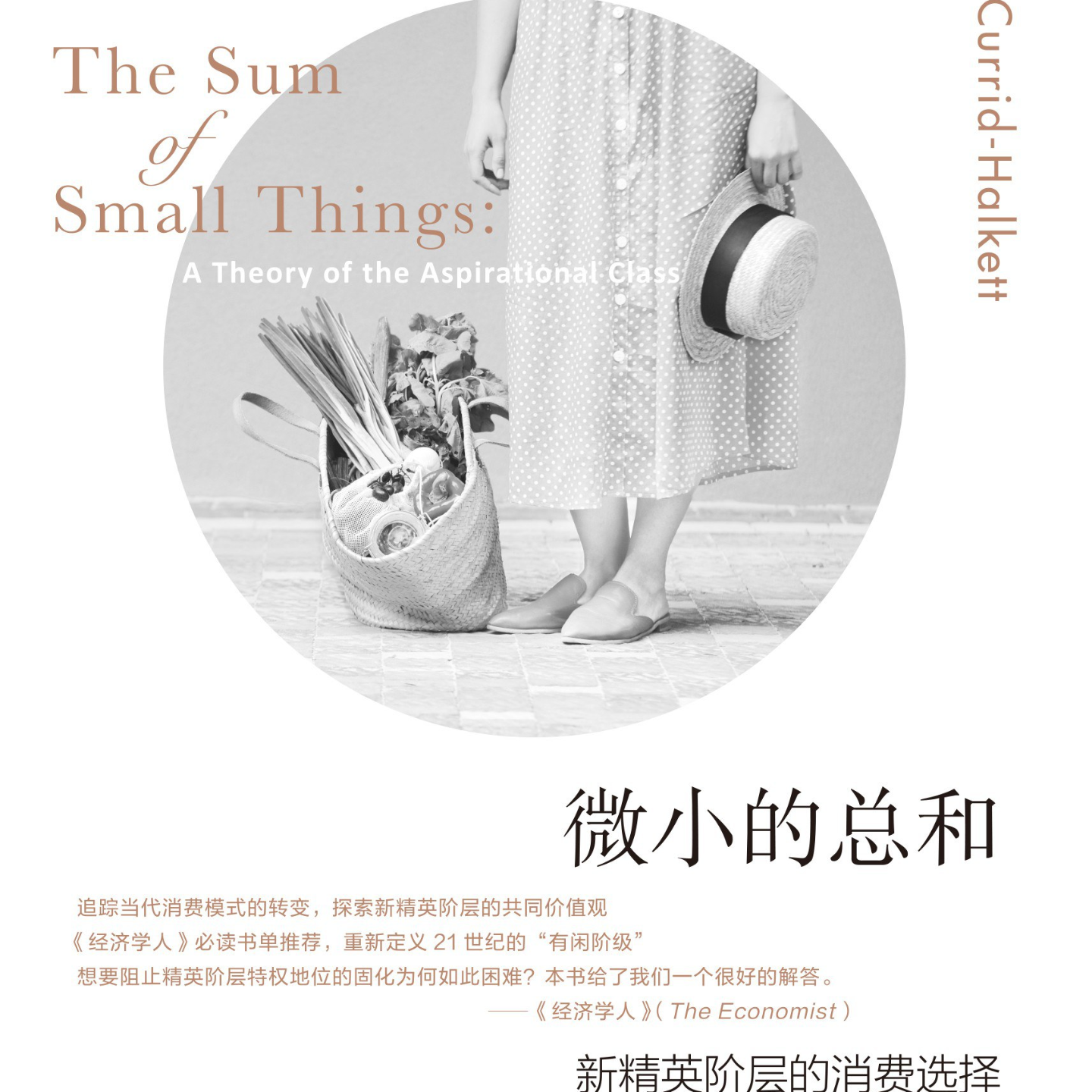 《微小的总和: 新精英阶层的消费选择》/《The Sum of Small Things》 episode artwork