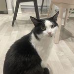 赛博植物人王铁军