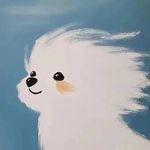 甜甜圈儿yo