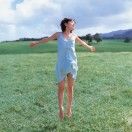 杨柳堆烟照夏韵