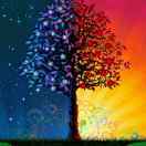 木棉_EaHv