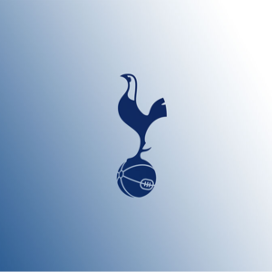 04.联赛17名莫伤悲,时隔17年捧奖杯~24/25赛季英超20队盘点(四):热刺