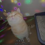 bududu