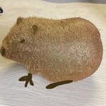 普通屁泡