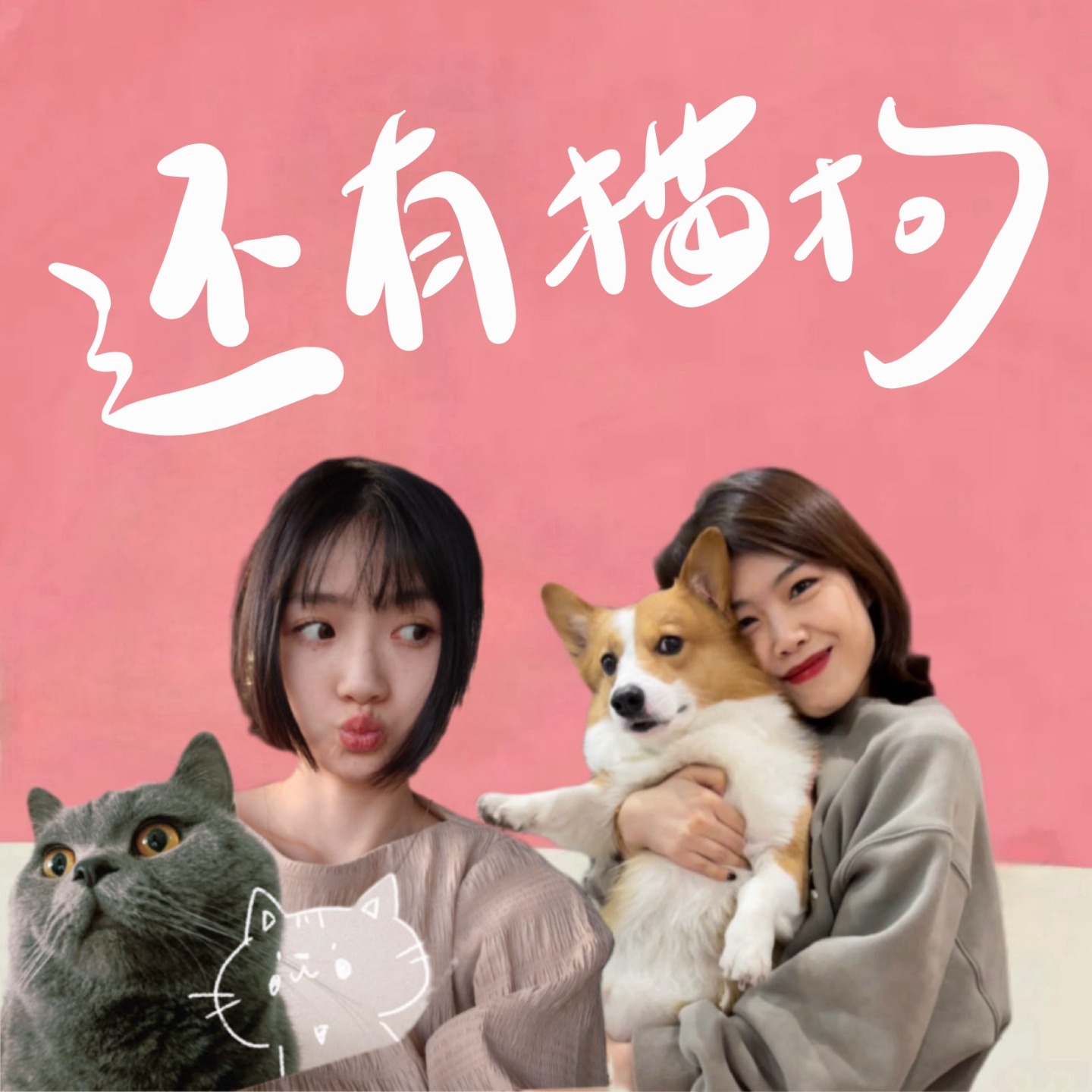 还有猫狗PawsandFriends