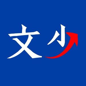 文少不怕输