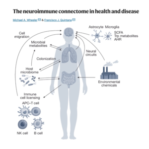 002-The Neuroimmune Connectome in Health and Disease