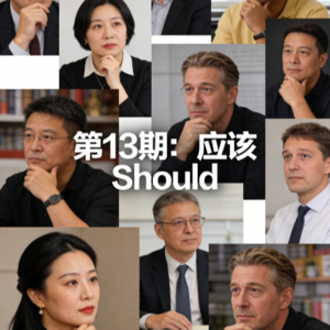 EP13 Should|应该