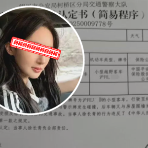 金晨被指肇事逃逸法律责任几何？事故认定书透出关键细节