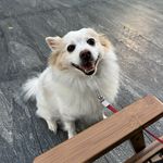 一颗星星星星星