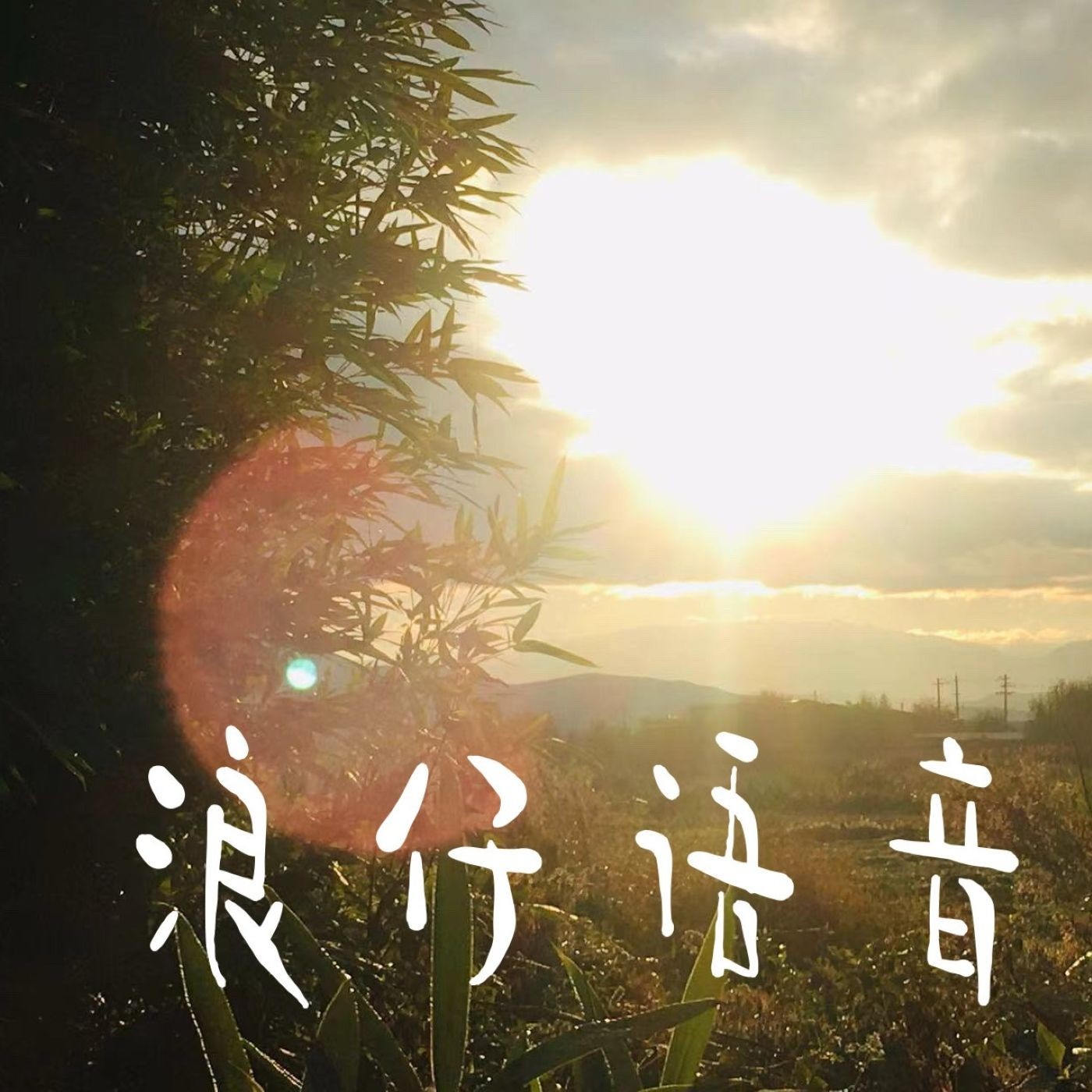 浪仔语音 podcast artwork