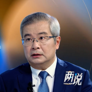 类脑智能BI和人工智能AI，谁更聪明？｜两说