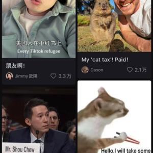 23. Tiktok命运再反转,小红书中美蜜月且珍惜