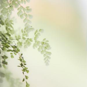 野獸電台054｜意識研究與正念冥想