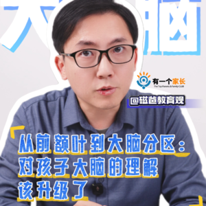 从前额叶到大脑分区：对孩子大脑的理解该升级了