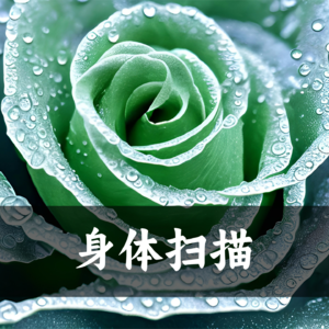 身体扫描（神秘园之歌）