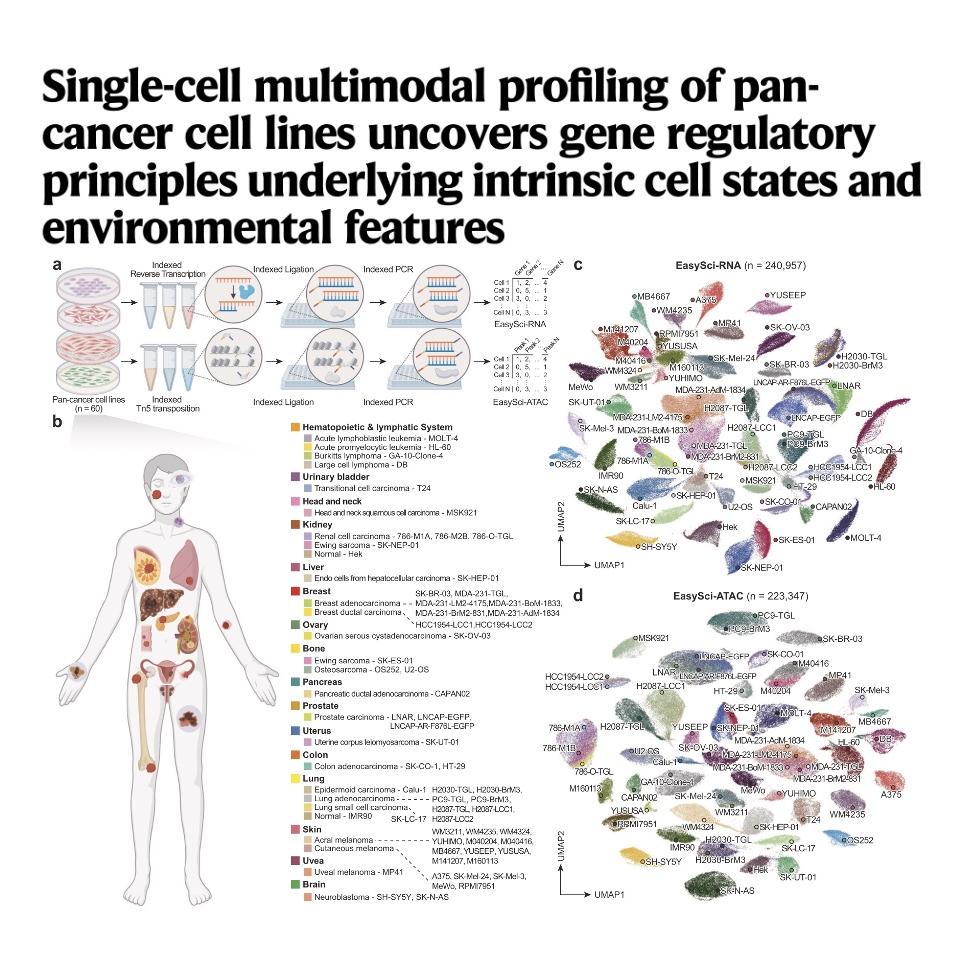 1582-The Pan-Cancer Single-Cell Multimodal Regulatory Atlas episode artwork