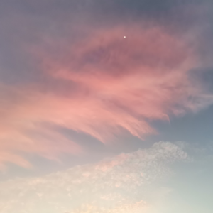 《韧性赛博格》递给你我的邀请