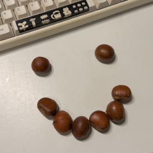 看剧是为了给脑补小说画面找素材 📅 Nov.12