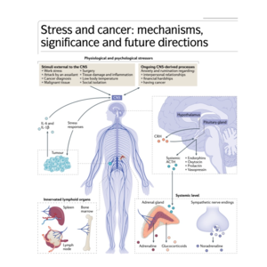 020-Stress and Cancer