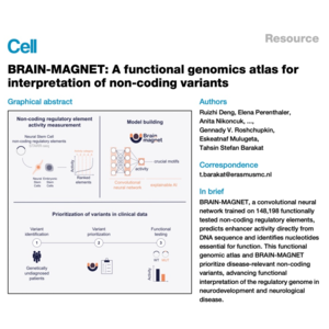 295-BRAIN-MAGNET Atlas of Non-Coding Regulatory Elements